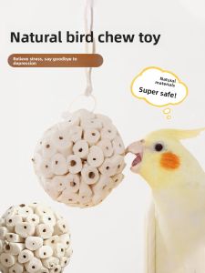 VOA | Chewing Entertainment Bird Toy