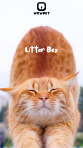 WOWPET Petfy Love Banoo Lair Litter Box Extra Large Flip Lid Top Entry Anti-Tracking Cat Toilet