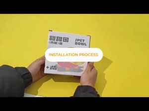 2 In 1 Pet Bowl Donut Elevated Pet Cat Bowl: A Stylish & Functional Feeding Solution