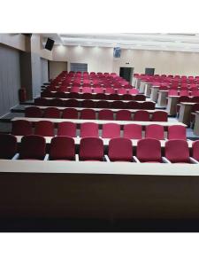 MOLORE | Large Reversible Soft Padded Retractable Theatre Chair