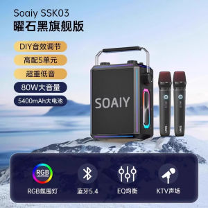 Sony Ericsson SSK03 Bluetooth Home KTV Integrated Microphone Speaker Outdoor Performance Handheld Dual Speaker Built-in Battery