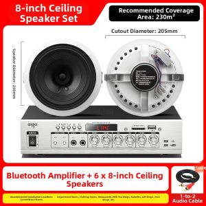 Aigo | Ceiling-mounted Speaker Kit for Commercial and Home Use