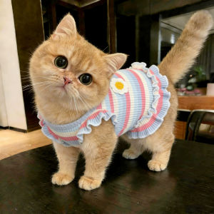 Anti-Shedding Breathable Pet Clothing