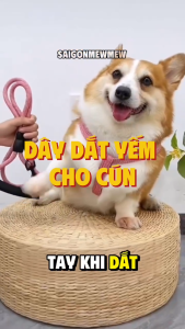 Dây dắt yếm cao cấp có đệm tay cầm dành cho cho chó