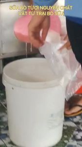 "[HOT] SET 5 KG SỮA BÒ TƯƠI NGUYÊN CHẤT VẮT TỪ TRẠI BÒ SỮA"