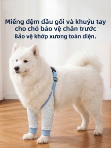 hipidog | Đồ Mặc Bảo Vệ Khớp Cho Chó