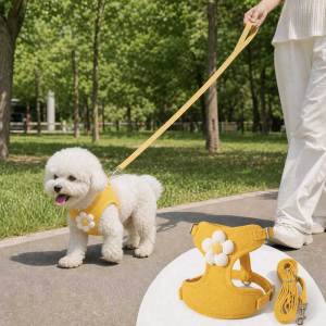 Teeker Pet Multi Size Breathable Pet Harness & Leash Anti Escape Set for Small & Medium Pets