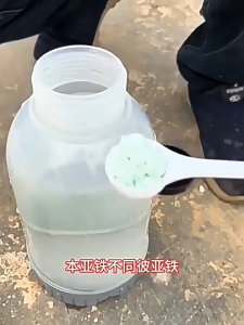 Baja Tanah Berasid Serbuk Besi 100g 喜酸植物专用肥料 Acid Soil Plant Fertilizer Iron Powder Blueberry Hydrangea Plant Nutrient