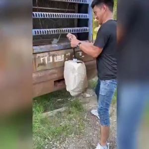 TREE FROG Lem Setan Super Glue Serbaguna kuat Cairan Perekat Lem Korea