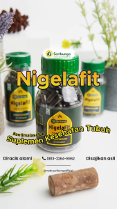Nigelafit Saribunga - Habbatussauda Kapsul Asli - Obat Herbal Habbatussauda Kapsul - Habbatussauda