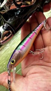 PROBEROS 5PC 2 Khớp Nối Mồi Câu Cá Minnow 105cm Wobbler Hard Swimbait Với Mắt 3D Và Móc Ba Ngạnh Để Câu Cá Nước Mặn Bass