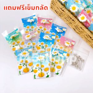 การ์ดดอกเดซี่ (5ชิ้น) แถมฟรี เข็มกลัด ใส่ซองใส พร้อมใช้ การ์ดปัจฉิม การ์ดอวยพร ของขวัญ วันเรียนจบ