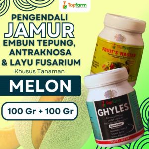Fungisida Topfarm: Solusi Hama & Penyakit Tanaman Melon
