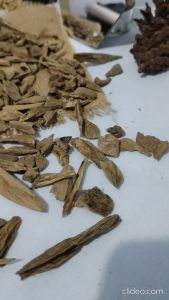 KAYU GAHARU MAROKI & AGARWOOD ORIGINAL: Pengharum Ruangan Dupa Bakar