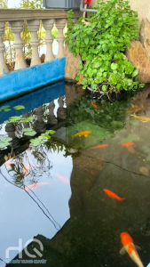 Máy bơm tạo đài phun nước mini bể ao cá cảnh với ba vòi phun khác nhau hồ cá hồ non bộ hồ sân vườn chậu cảnh lu bể cá