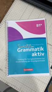 Grammatik Aktiv A1-B1 B1+ Exercise Books