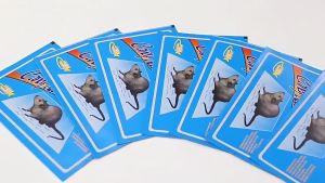 HIONE 10/30/50pcs Large Mouse rat Sticky Mice Rodent Glue Board Bait Trap glue rat board (🔥Super Strong Adhesion🔥) COD