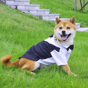 Dog Clothes Shirt Shiba Inu Corgi Cat Clothes Summer Thin Wedding Dress Small Size Dogs Suit Spring and Autumn