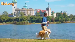 Dây dắt Chó Mèo rảnh tay phản quang gắn bụng chủ nhân cao cấp (mẫu mới) - Love Pets Shop