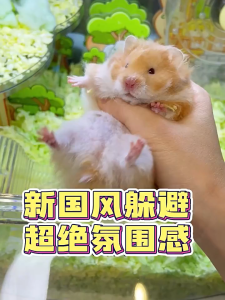 bộ sưu tập Gia Đình Thư Hương (Nhà Ngủ Hầm Đào Trú Ẩn Hầm Chui Đế Bình Nước Thang) hãng JONSANTY dành cho hamster- T3