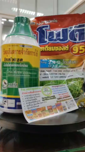 กำจัดหญ้า ในไร่มัน ป่ามัน หญ้าใบแคบ ใบกว้าง ตายเรียบ ฟรีหอมดี ดับกลิ่นหม็น