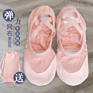 Giày Khiêu Vũ Lưới Co Giãn Cho Nữ Giày Khiêu Vũ Chuyên Nghiệp Bằng Vải Co Giãn Đế Mềm Giày Tập Luyện Giày Móng Vuốt Mèo
