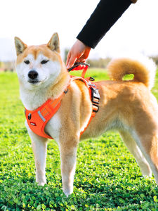 Large Medium Dogs Leash Walking Rope Vest Type Chest Strap Pet Dog Harness Collar Terrier Corgi Pet Chain Neck Cover