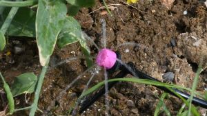 ชุดรดน้ำต้นไม้ระบบน้ำหยดสายยาว 50 เมตร พร้อมชุดน้ำหยด 50 ชุดพร้อมอุปกรณ์ครบเซต