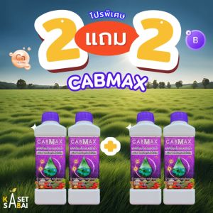โปร 9.9 CABMAX 2แถม2 แคลเซียมโบรอน สูตรเข้มข้น เร่งดอก เร่งผล ติดดก เสริมขั้วเหนียว จัดส่งฟรี