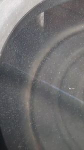 อาหารไรแดงน้ำใส Boom Fast สูตรเข้มข้น ไม่แถมไรแดง อาหารอย่างเดียว