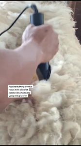 COD BaoRun PRO Alat Cukur Bulu Domba Listrik Electric Pet Dog Hair Clipper S1 / mesin cukur domba garut / mesin cukur hewan domba / alat cukur domba listrik baorun elektrik listrik kabel / mesin alat pencukur hewan ulu domba / alat pencukur rambut domba