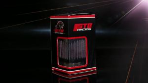 LỌC GIÓ CAO CẤP TẨM DẦU STB TRỤ 1280 (WINNER SONIC RAIDER EXCITER) CÙNG ÁO TRÙM LỌC BỘ VỆ SINH