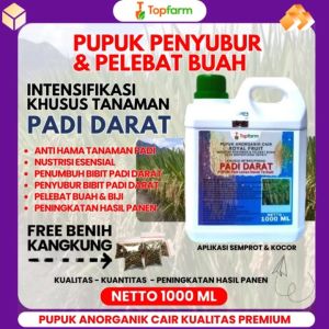 Pupuk Padi Darat Terbaik: Manfaat & Cara Menggunakannya