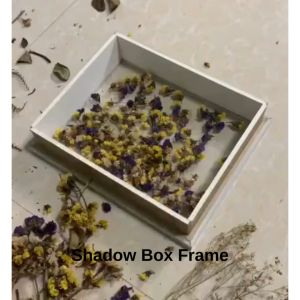 ShadowKing 8x8 Inches GLASS ShadowBox Shadow Box Frame For Flowers Hollow Box Art