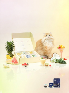 GEWUAN | Thức ăn ướt dạng mousse cho mèo con và mèo trưởng thành