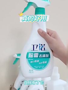 LANYUELIANG | Wall Room Mold Remover 500g
