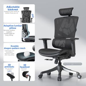 Musso | Ergonomic Comfort Office Chair
