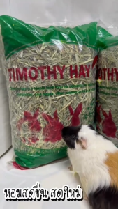 🔥หญ้ากระต่าย หญ้าทิโมธีร่อนฝุ่นสำหรับ กระต่าย แกสบี้ แพรี่ด็อก ชินชิล่า(500g.-1kg.)