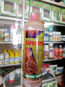 Herbisida SAPU BERSIH 1 ltr atasi rumput sampai akar akarnya