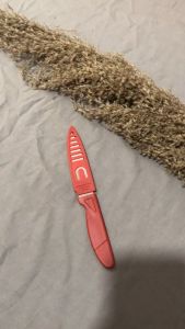 Pisau Dapur Buah dan Sayur Stainless Warna Kecil Mini  + Tutup Sarung Tajam | Pisau Pemotong Pengupas Buah Apel / Masak Dapur Souvenir Pernikahan Knife Set Serbaguna Multifungsi Warna Warni Lucu