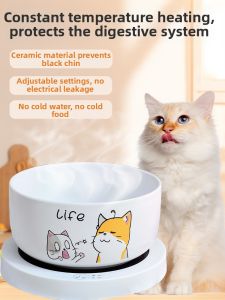 VOA | Temperature-Controlled Pet Water Bowl