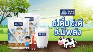 Dairy Farm แดรี่ ฟาร์ม นมผงเกรดพรีเมี่ยมนำเข้าจากประเทศนิวซีแลนด์ - 100% ถูกต้อง - 3 ถุง