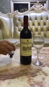 Wine Aerator Pourer Spout - Premium Wine Decanter Wine Pourer Fits All Wine Bottles Wine Accessories Gifts for Wine Lovers