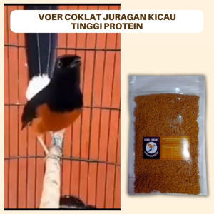 Voer Cokelat Juragan Kicau 200gr Pur Pakan Burung Tinggi Protein Vitamin Dan Mineral