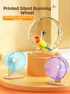 VOA | Pet Parrot Entertaining Interactive Toy