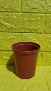 3 pcs. /set – Premium Quality Plastic Hard Orange Pot (Ht. 4.5 Inches Opening 4 inches) ] Plus [FREE 1 Pack Cocopeat or Ipa or 1 Pc Philodendron cutting randomly picked by Seller]