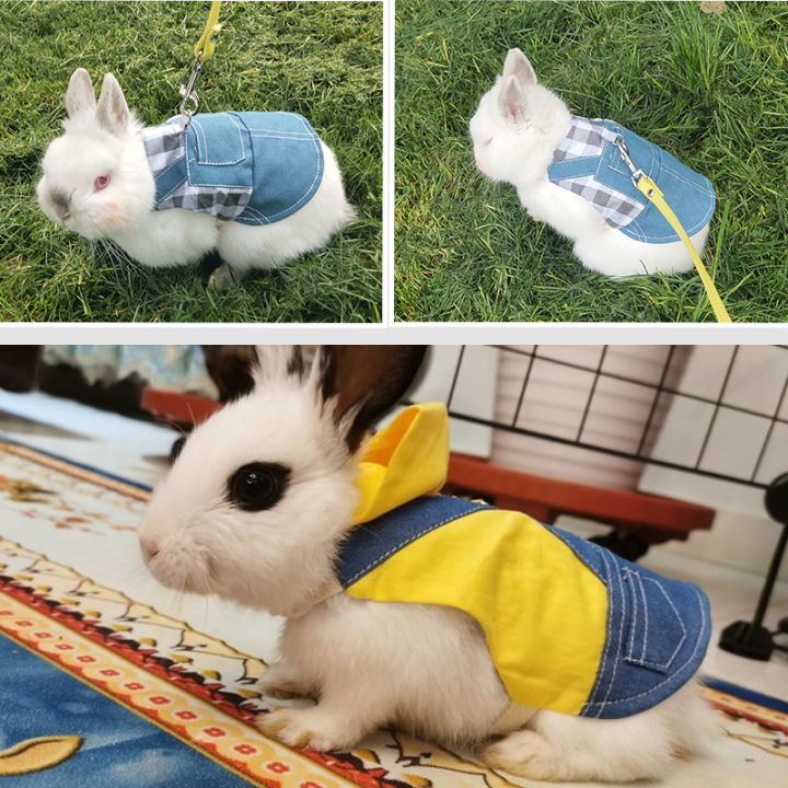 Rabbit Clothes Rabbit Pet Rabbit Clothes Spring Ball Dress Lop Eared
