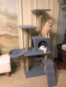 Lovinland Pet 125cm Tall Cat Tree Multi-Level Large Grey Climbing Tree House and Towers for Big Feline Condo and Hammock Scratching Post Wide Base