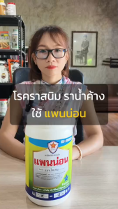 กำจัดเชื้อรา โรคใบไหม้ ใบจุด ในพืช แพนน่อน (แมนโคเซป) + สารจับใบ FK เพิ่มประสิทธิภาพการดูดซึม