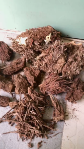 RỄ DỪA CỤC - KHỐI LƯỢNG 3KG – BÍ QUYẾT GIỮ CHẬU THOÁNG KHÍ RỄ KHỎE MẠNH CHO CÂY TRỒNG